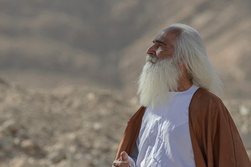 Asian-Middle Eastern Fusion